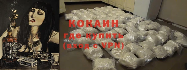 дмт Богданович