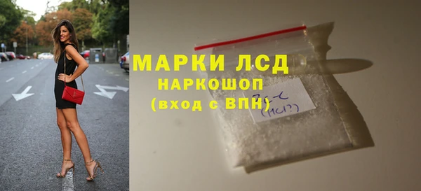 дмт Богданович