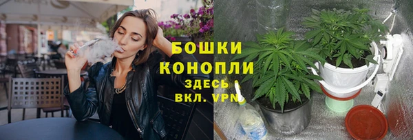 spice Белокуриха