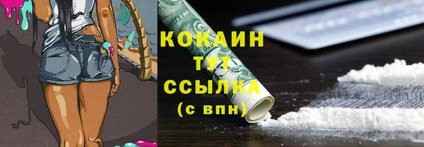 2c-b Богородицк