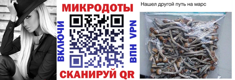 Псилоцибиновые грибы мицелий  Купить закладки  Нариманов 